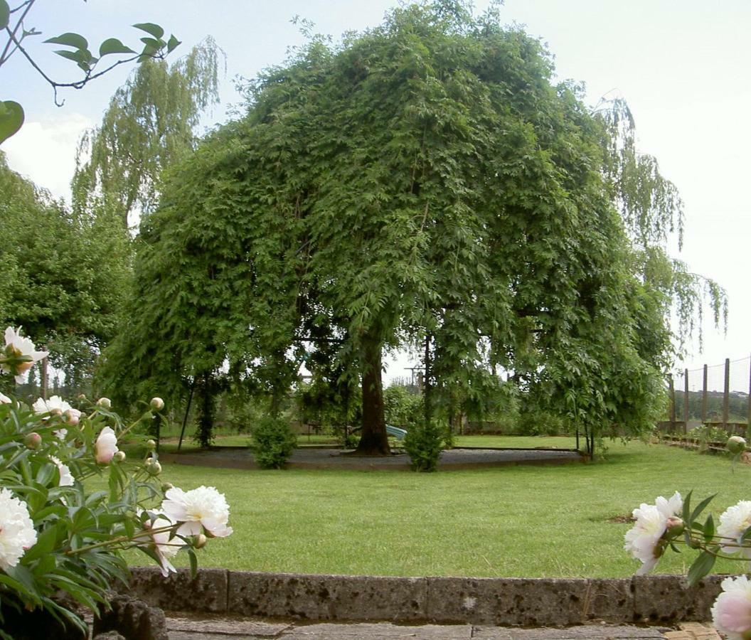 Les Jardins De L'Ile Daire Longeville-les-Metz Dış mekan fotoğraf